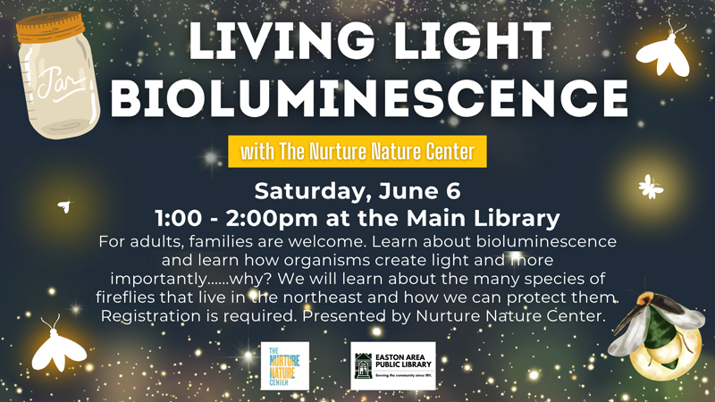 Living Light Bioluminescence