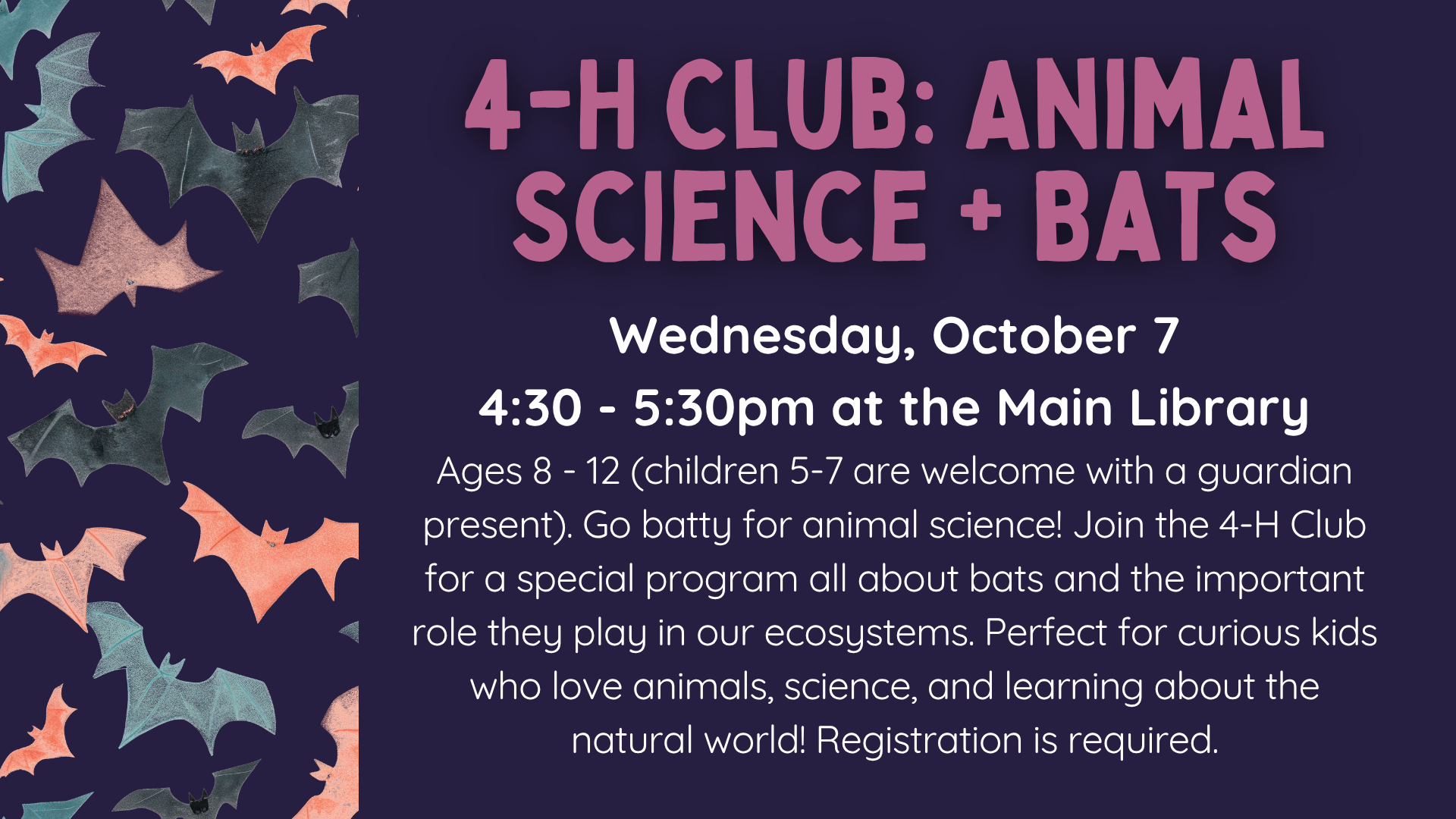 4HClubScienceBats